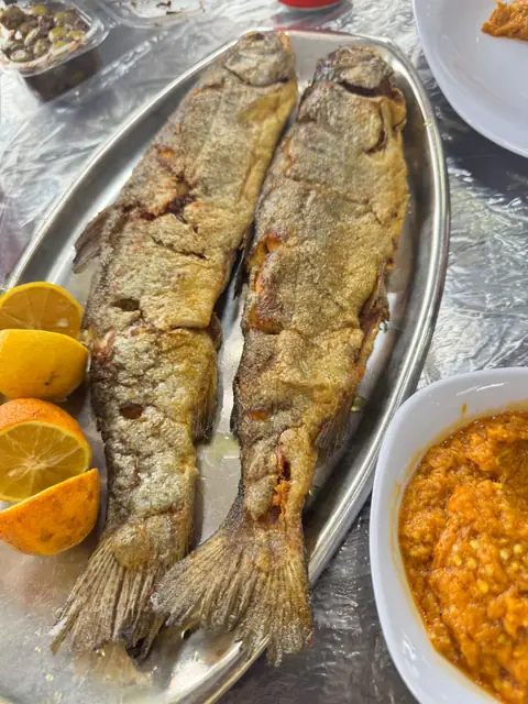سفر به گیلان