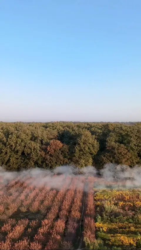 سفر به گلستان
