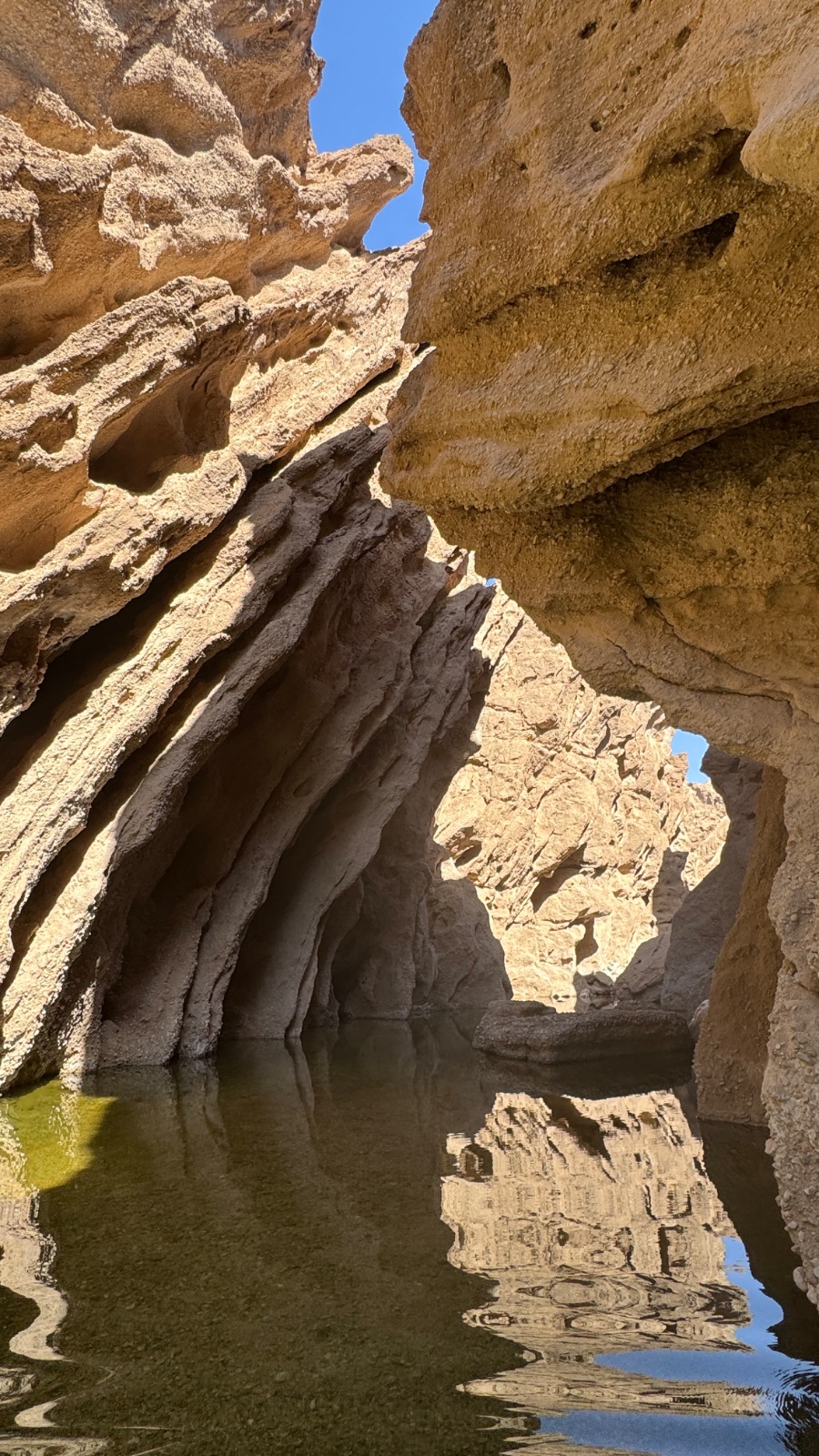 خراسان جنوبی