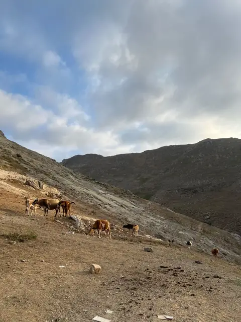 سفر به آذربایجان شرقی