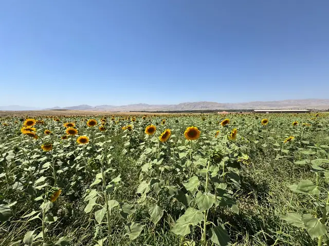 سفر به آذربایجان غربی