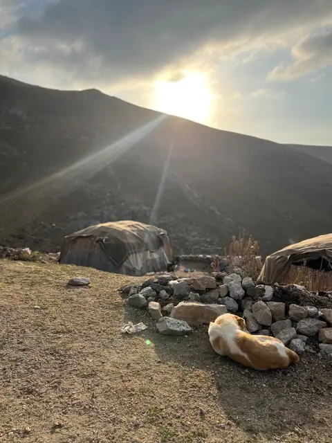 یک شب ماندن با عشایر