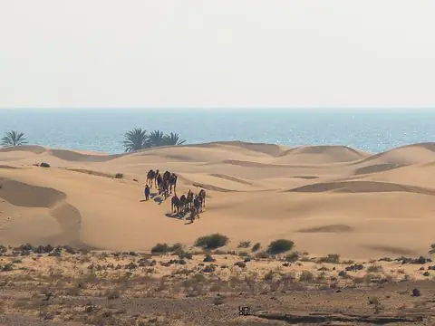 ساحل درک