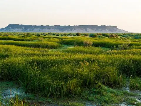 کوه خواجه