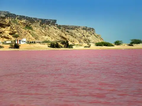 تالاب لیپار