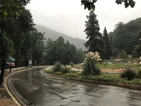 جنگل ناهارخوران