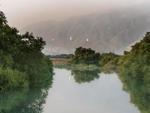 ساحل نای‌بند
