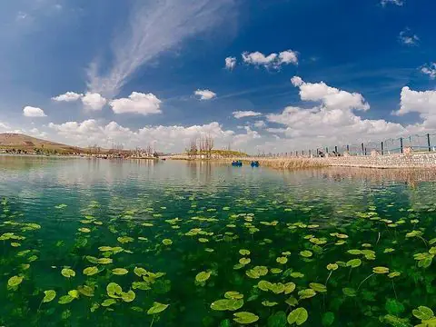سراب نیلوفر