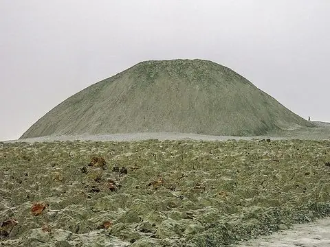گل‌فشان تنگ