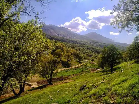 جنگل‌های بلوط زاگرس