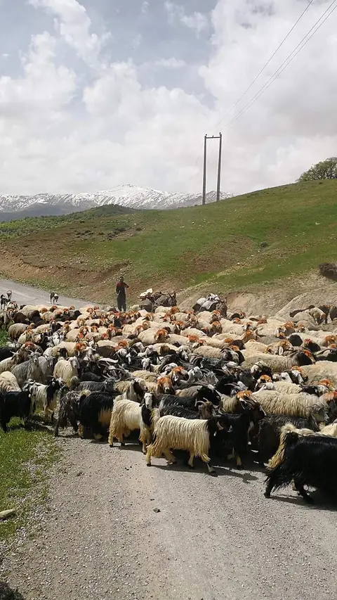 سفر به چهارمحال و بختیاری